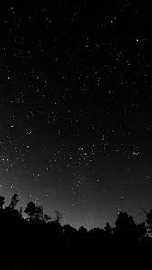 dark night sky stars trees