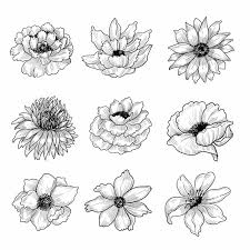 chrysanthemum tattoo images free