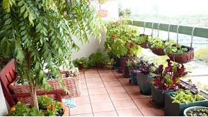 Apartment Patio Vegetable Garden