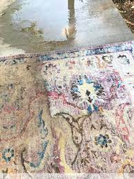 how to clean an area rug the fun way