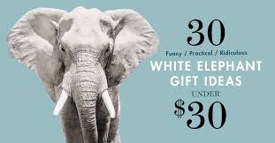 white elephant gift ideas under 30