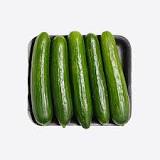 Are Hot House and Persian cucumbers the same?