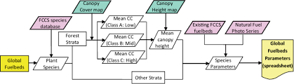 Flow Chart Of The Steps Performed For The Parameterization