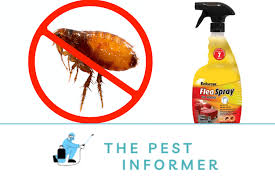5 pet safe flea sprays for your home