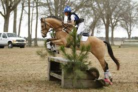 8:20 equine mollie recommended for you. En S Got Talent Carrie Meehan And Cavalier Eventing Nation Three Day Eventing News Results Videos And Commentary