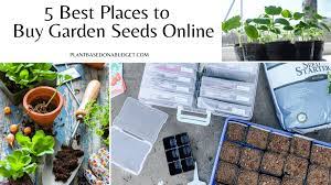 5 Best Places To Buy Seeds