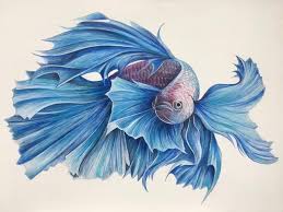 betta fish oil on canvas painting by