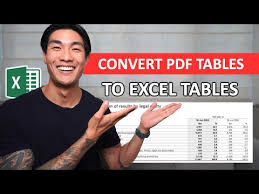 convert pdf tables to excel tables