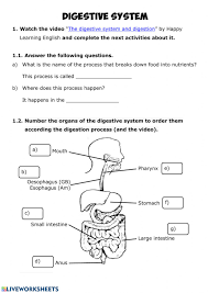 Digestion worksheet answer key could assume even more as regards this life, going on for the world. Nutrition 2 Digestive System Worksheet
