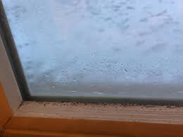 Mold on window sills can develop in and around window frames. Preventing Mold From Growing On Your Windows