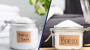 baking soda vs borax for toilet