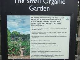 Organic Gardening Tips Ideas For