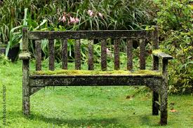Old Garden Bench Covered In Lichen And
