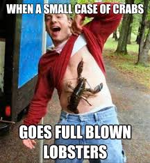 Full blown lobsters Funny Meme – FUNNY MEMES via Relatably.com