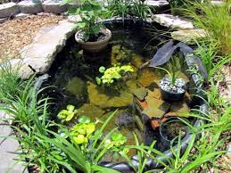 Create A Mini Garden Pond In The Mortar