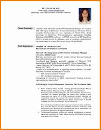 Resume Template Professional Summary For Resume Examples