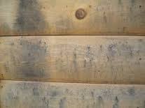 mold and mildew on log walls custom