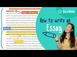 Cite information and/or the ideas of others. The Beginner S Guide To Writing An Essay Steps Examples