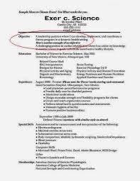 Babysitter Career Objective Example Good Resume Objective Examples