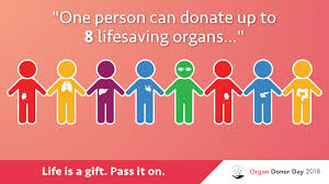 Image result for images organ donation day