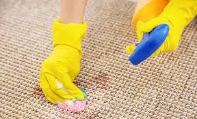 how to clean a jute rug the
