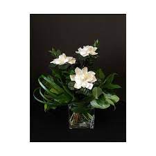 Gardenia Flower Arrangement