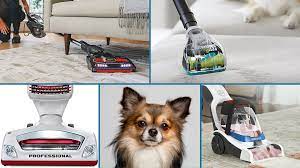 13 best vacuum cleaners for pet hair on