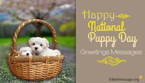 Maybe you would like to learn more about one of these? Happy National Puppy Day Greetings Messages 23 March Ultima Status
