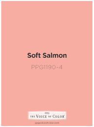 Pink Paint Colors Salmon Paint Color