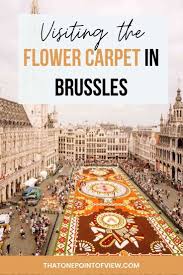 flower carpet in brussels in 2024