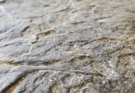 The Pros And Cons Of Stamped Concrete