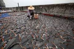 Is eating shark fin illegal in Canada?