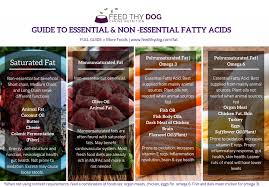 the ultimate guide to fat feed thy dog