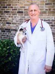 Wellness.com provides reviews, contact information, driving directions and the phone number for all pets animal hospital in katy, tx. All Pets Animal Hospital 104 Photos 155 Reviews Veterinarians 24221 Kingsland Blvd Katy Tx Phone Number Yelp