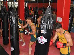 14 best boxing gyms in sydney man of many