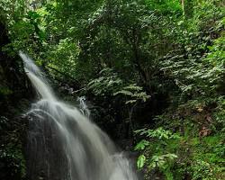 Image of ErinIjesa Waterfalls, Osun State