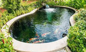 how to build a fish pond the