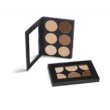 mehron conceal it palette professional