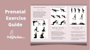 pregnancy exercise program pdf