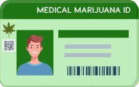Maybe you would like to learn more about one of these? Medical Marijuana For Epilepsy Tampa St Petersburg Florida
