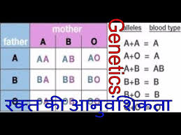 Hereditary Of Blood Determination Of Blood Group From