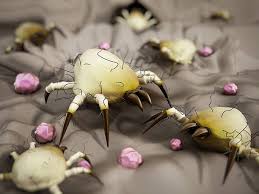 hidden dangers of dust mites