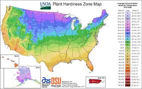 plant hardiness zone