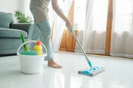 invoice template for home cleaning services