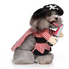 cute dog costume funny pirate cosplay