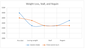 Managing A Weight Loss Plateau Paleo Leap
