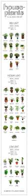 How Much Light Does Your Houseplant Need Find Out On This