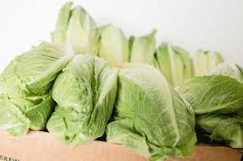 nutritional benefits of romaine lettuce