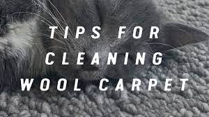 tips for wool carpet cleaning