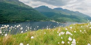 10 facts about loch lomond's islands. Locations To Stay In Loch Lomond Trossachs See Loch Lomond What To Do In Loch Lomond And Trossachs